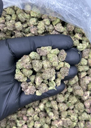 Sweet Berry Pie