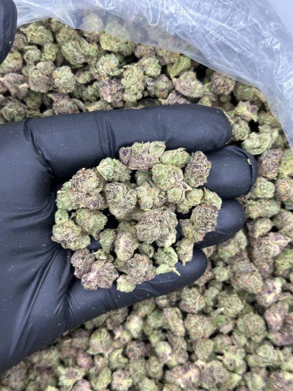 Sweet Berry Pie