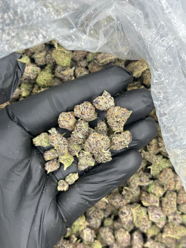 BLACK CHERRY RUNTZ