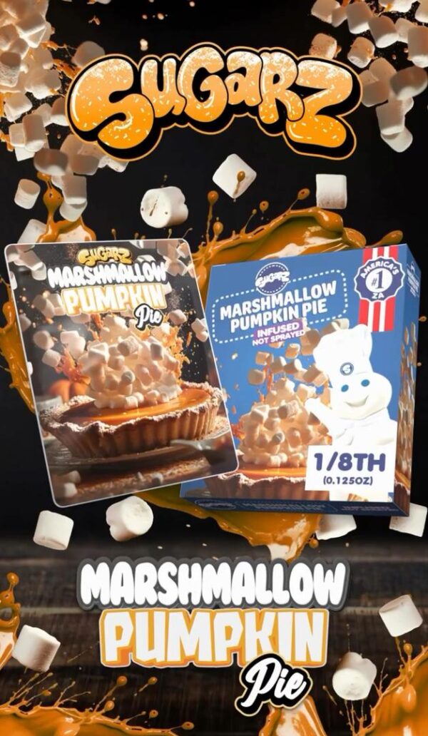 Marshmallow Pumpkin Pie - Image 3
