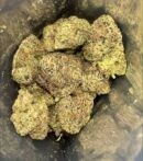 Monster Cookie