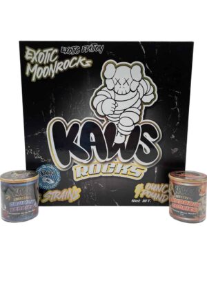 KAWS EXOTIC MOONROCKS