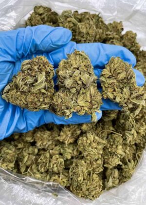 PLATINUM HERB- KF520PL