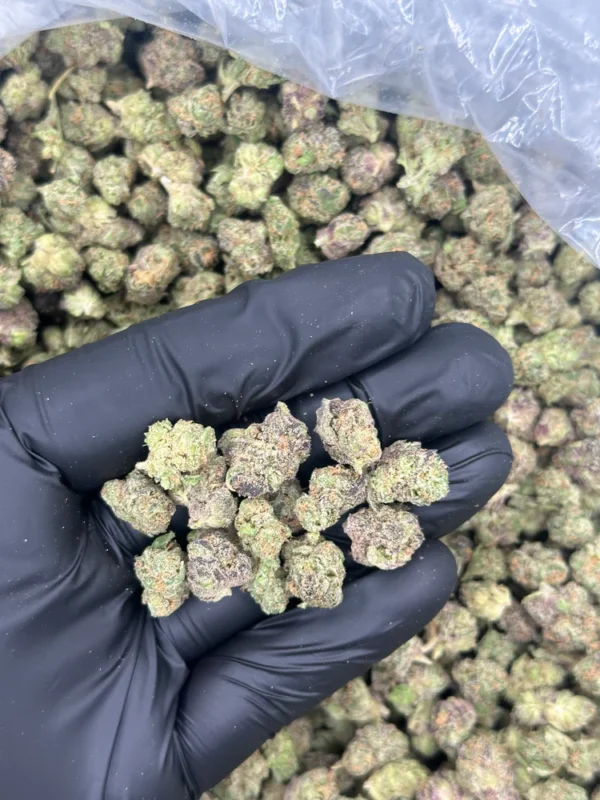 Raspberry Delight