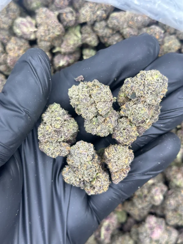Zombie Brainz